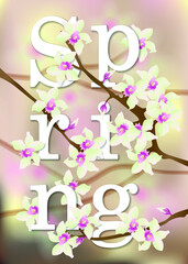 Spring sale background with beautiful flower
