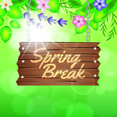 Happy spring day. abstract bright spring blurred background with wood notice
