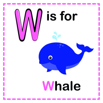 Alphabet W is for Whale vector image. alphabet flash card.
