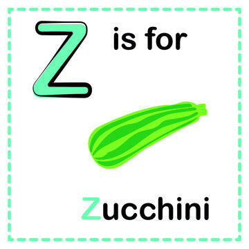 Alphabet z is for zucchini vector image. alphabet flash card.
