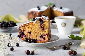 Homemade pie with black currant and cut piece on gray background, horizontal orientation