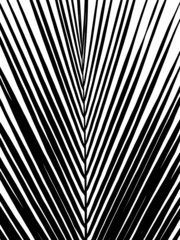 coconut leaf silhouette isolated on white background