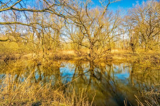 &Uuml;berschwemmungsrest in der Siegaue