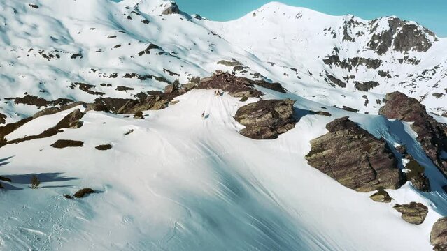 Izards run on a mountain ridge.