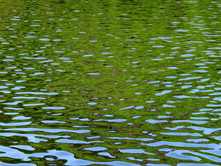 Beautiful water reflection in nature