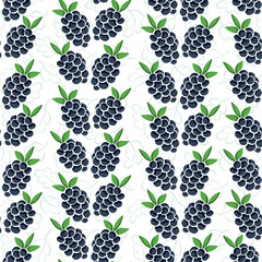 Vector seamless pattern with vertical blackberry columns on white foliate background; perfect for wrapping paper, invitations, posters, banners, packaging and other design. - 491423613