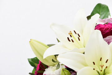 Obraz premium Composition with beautiful blooming lily flowers on white background , macro 