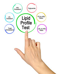 Six components of Lipid Profile Test