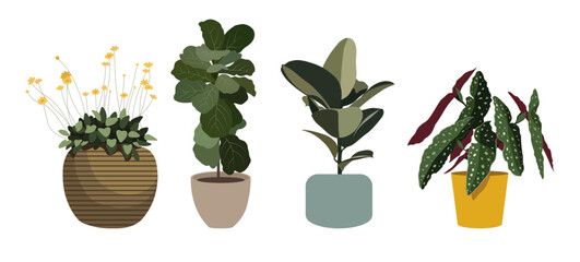 Fototapeta na wymiar House plants set, realistic flat illustration.