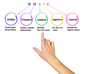 Five Components of  DMAIC Methodology