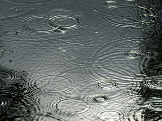 water drop of rain falling with ripple on the water
