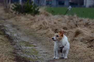 Thinking JRT