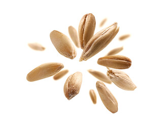 Oat grains levitate on a white background