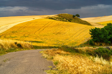 Country landscape in Basilicata, Italy, at summer