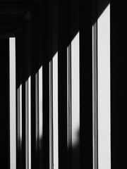 black and white architeture, shadow on white pole with sunlight