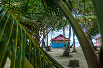 Wooden house on caribbean island