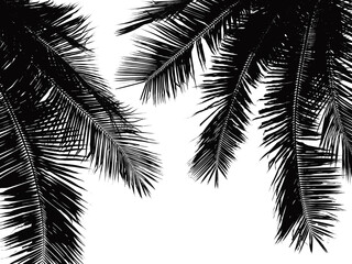 Naklejka premium coconut leaf silhouette isolated on white background
