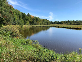 Wilderness Pond