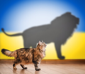 Concept of hidden potential, cat and lion shadow on the background of the Ukrainian flag .