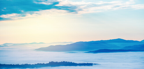 Sunrise in Carpathian mountains, Ukraine, Europe. Scenery of nature with sunlight. Beauty of nature concept background.