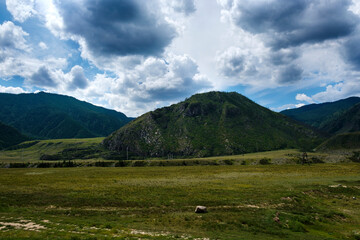 the fascinating beauty of the nature of the summer Altai