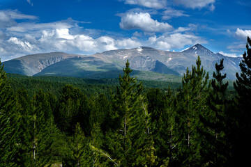 the fascinating beauty of the nature of the summer Altai