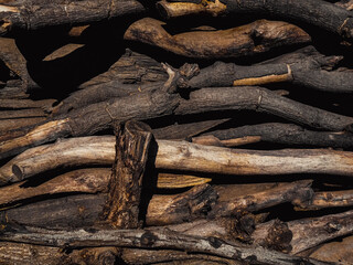 wooden branches background looks dramatic