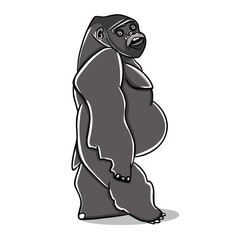 Gorilla vector hand drawn color illustration ,doodle illustration