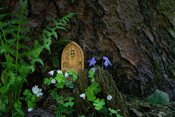 Little rustic wooden fairy door and flowers in tree trunk, natural background. fairytale pixie or...