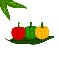 fresh red, green, yellow peppers vector