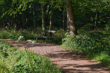 Parkbank im Schlosspark Lützschena, Leipzig, Sommer
