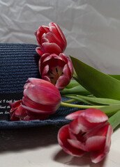 Blue straw hat and a bouquet of red tulips