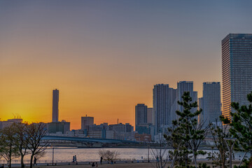 Fototapeta premium 東京都江東区豊洲の夕方の都市景観