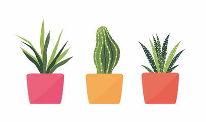 Vector illustration of house plants. Set in flat style. Cactus, aloe in a pot. Plants in pots. Design elements

