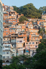 Fototapeta na wymiar favela peacock in copacabana in Rio de Janeiro.