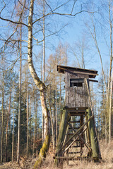 Hochsitz, Holzkonstruktion, Wald, Jagd