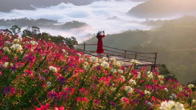 View point of the sea of mist and flower garden in Mae Sot District, Tak Province, Thailand.