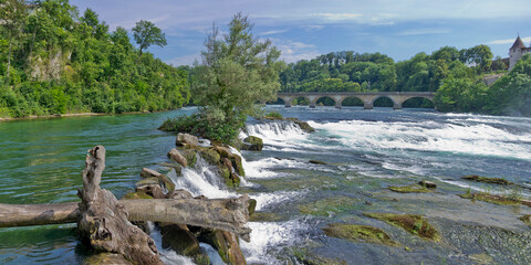 Fototapeta na wymiar The Rhine Falls near Schaffhausen, Switzerland