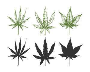 161_cannabis sativa, indica_cannabis, leaves and hemp branch_cannabis leaf icon, cannabis sativa, indica, isolate, set, leaf, white background, silhouette