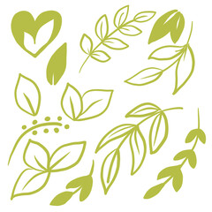 Ecological green leaves set, symbol concept on white background