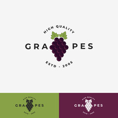 Nature Grape logo vector illustration design template, Grape logo template