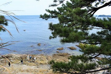 愛知県　蒲郡市　竹島