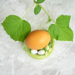 Quail eggs and chicken egg in small decorative nest lying next sprouted green seedlings. Easter...