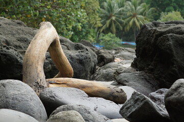 rocks one the beach