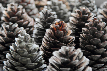 pine cones for decoration 