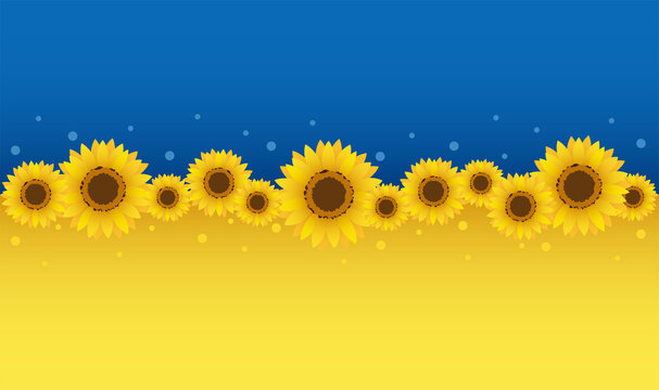 The Ukrainian flag and sunflowers, a symbol of peace.
