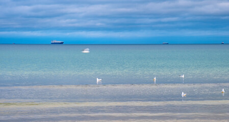 Panoramic winter view of Baltic sea with gulls on water and ships over maritime horizon offshore...
