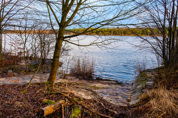 Forest and reed of Vistula river estuary to Baltic Sea shore aside Gull Sandbank - Mewia Lacha - wildlife reserve on Wyspa Sobieszewska Island near Gdansk in Poland - obrazy, fototapety, plakaty