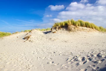 Tuinposter Noordzee, Nederland the dunes, Renesse, Zeeland, the Netherlands