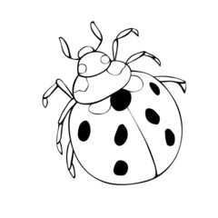 Vector black outline ladybug in doodle style. Cute insect, isolated. Top view. Clipart, design element on theme of nature, spring, summer